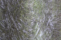 Clayton fibreglass roof work